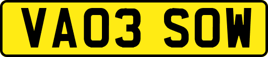 VA03SOW