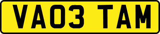 VA03TAM