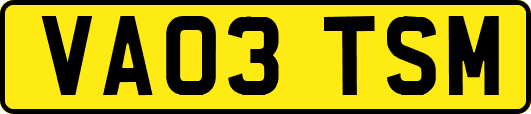 VA03TSM