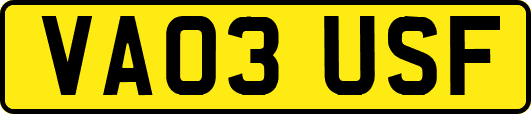 VA03USF