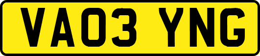 VA03YNG