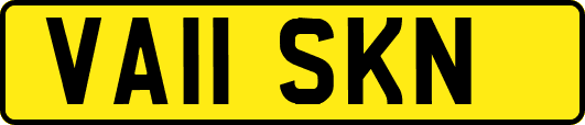 VA11SKN