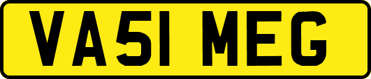 VA51MEG