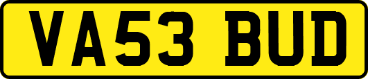 VA53BUD