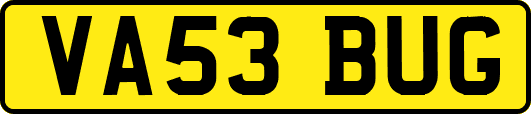 VA53BUG