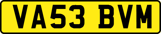 VA53BVM