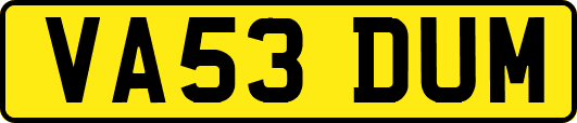 VA53DUM