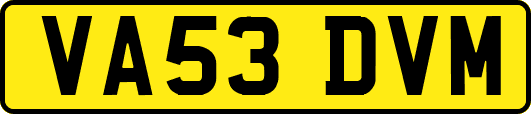 VA53DVM