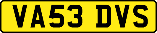 VA53DVS