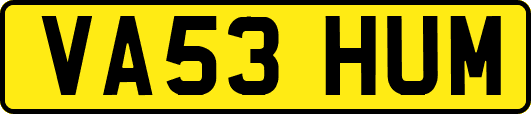 VA53HUM
