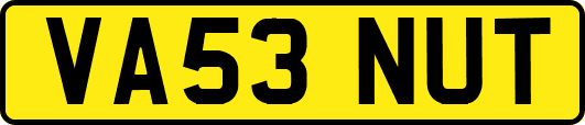 VA53NUT