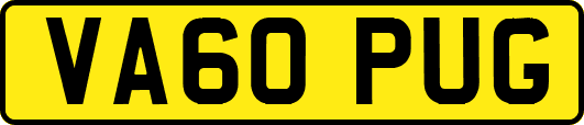 VA60PUG