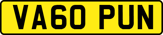VA60PUN