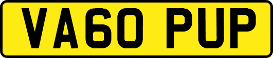 VA60PUP