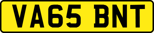 VA65BNT
