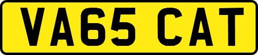 VA65CAT