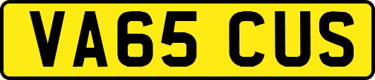 VA65CUS
