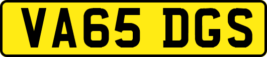 VA65DGS