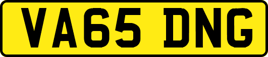 VA65DNG