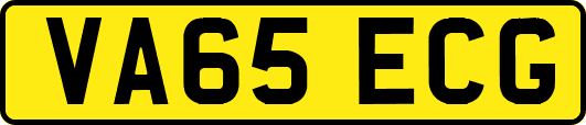 VA65ECG