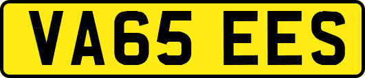 VA65EES