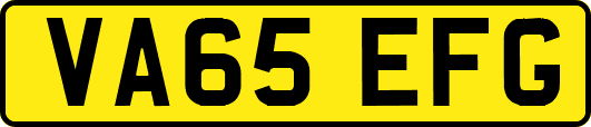VA65EFG