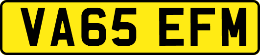 VA65EFM