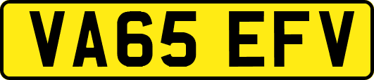 VA65EFV