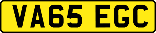 VA65EGC