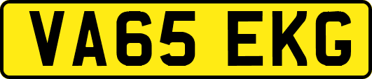 VA65EKG