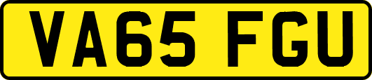 VA65FGU