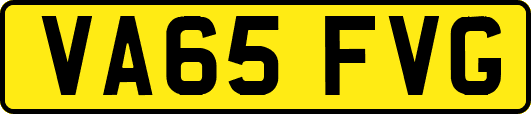 VA65FVG