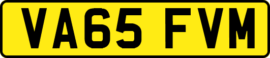 VA65FVM