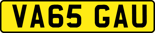 VA65GAU