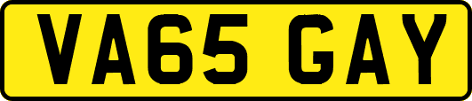 VA65GAY