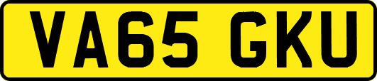 VA65GKU