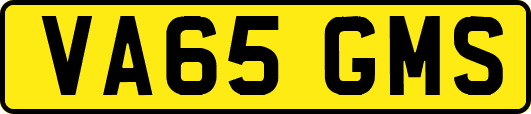 VA65GMS