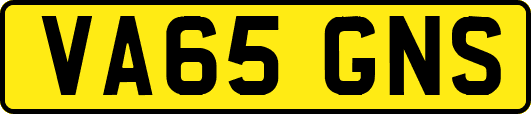 VA65GNS