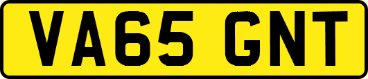 VA65GNT