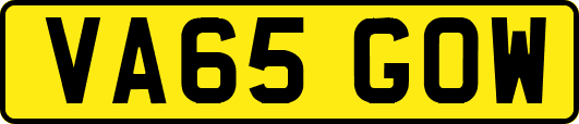 VA65GOW