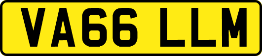 VA66LLM