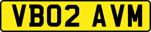 VB02AVM
