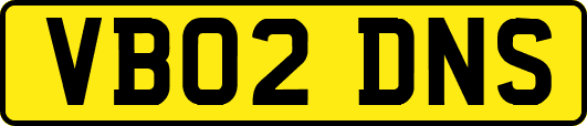 VB02DNS