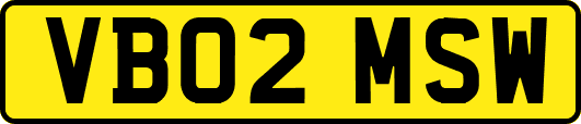 VB02MSW