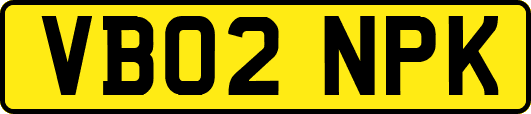 VB02NPK
