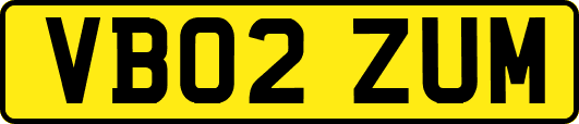 VB02ZUM