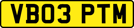 VB03PTM