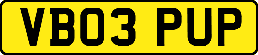 VB03PUP
