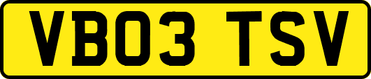 VB03TSV