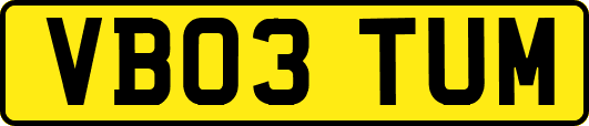 VB03TUM